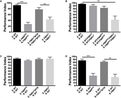 Stress Odorant Sensory Response Dysfunction in Drosophila Fragile X Syndrome Mutants